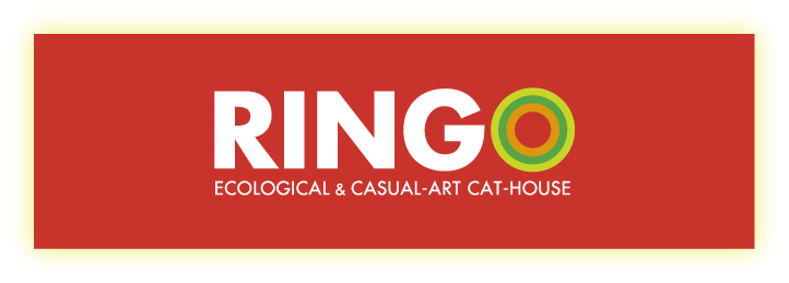 RINGO.png